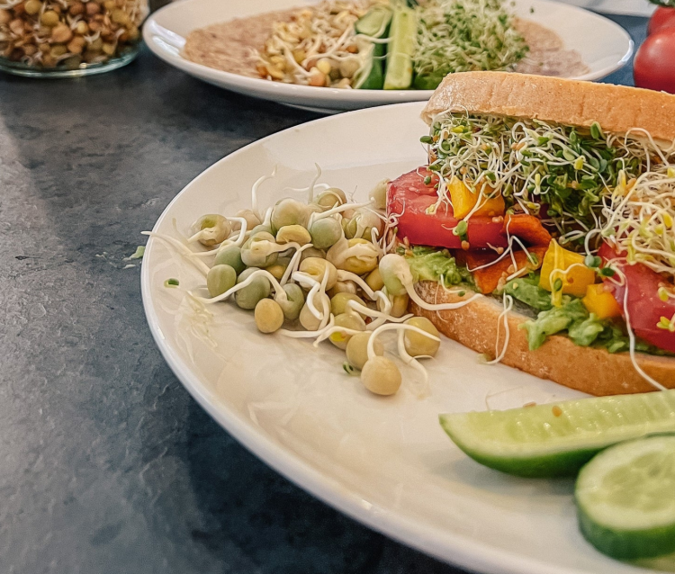 Health Benefits of Sprouts: An Overlooked Superfood