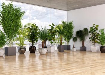 How to Maintain Dust-Free Artificial Trees