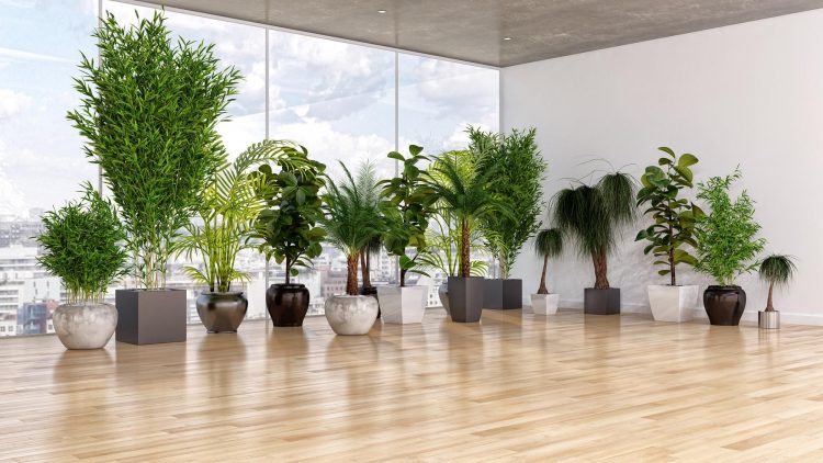 How to Maintain Dust-Free Artificial Trees