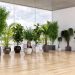 How to Maintain Dust-Free Artificial Trees