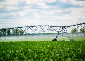 Benefits of Hiring an Irrigation Company