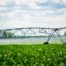 Benefits of Hiring an Irrigation Company