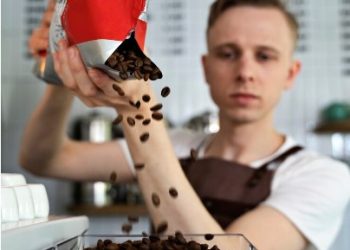 How to create coffee roast profile ? Basics of the roasting profile system on Rostino machines