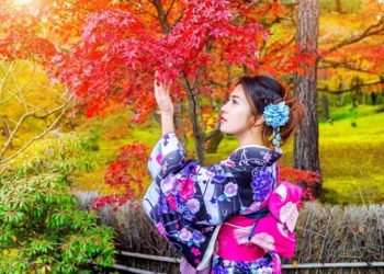 The Ultimate Free Japan Travel Guide for Adventure Seekers