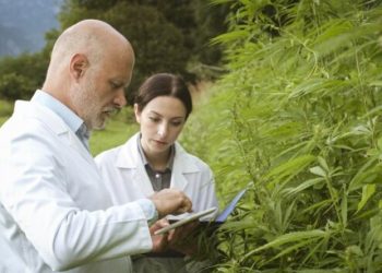 White Borneo Kratom Review: Personal Experiences and Notable Benefits