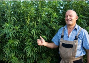 Washington Dc Dispensary