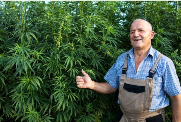 Washington Dc Dispensary