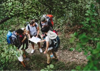 Exploring Borneo: Distinguishing White Vein Borneo from Other Kratom Strains