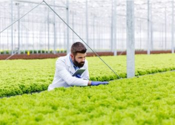 The Rise of AG Robots: Applications and Impact on Agriculture