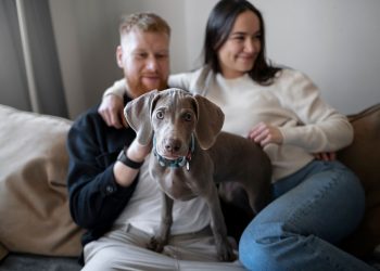 Dealing with Dry Indoor Air and Its Effects on Pets