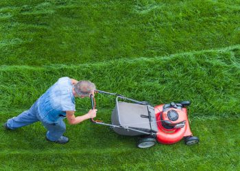 Preparing Your Hamilton Yard for Sod Install