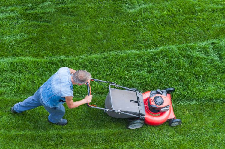 Preparing Your Hamilton Yard for Sod Install