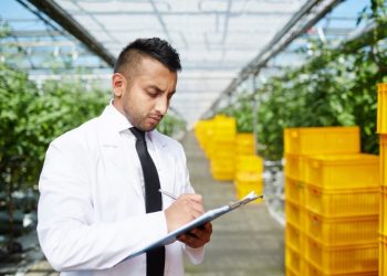 3 Strategies for Optimizing Food Services Supply Chain Operations