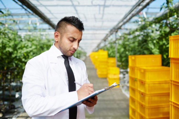 3 Strategies for Optimizing Food Services Supply Chain Operations