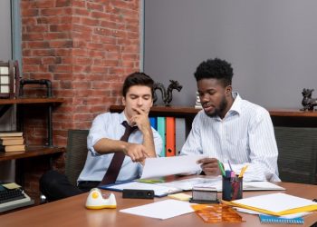 Understanding The Sarkari Naukri