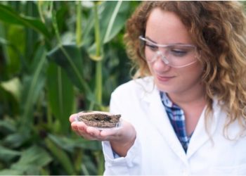 Exploring the Fascinating World of Mushroom Farm Supplies and the Enigmatic Pholita Microspora Mushroom Species