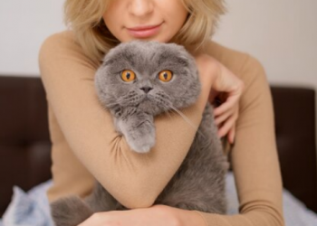 The Best Leather Bookmarks for Cat Lovers