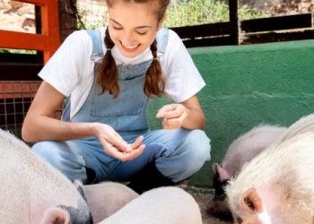 Exploring the Fascinating World of Pig Latin: Is It a Real Language?