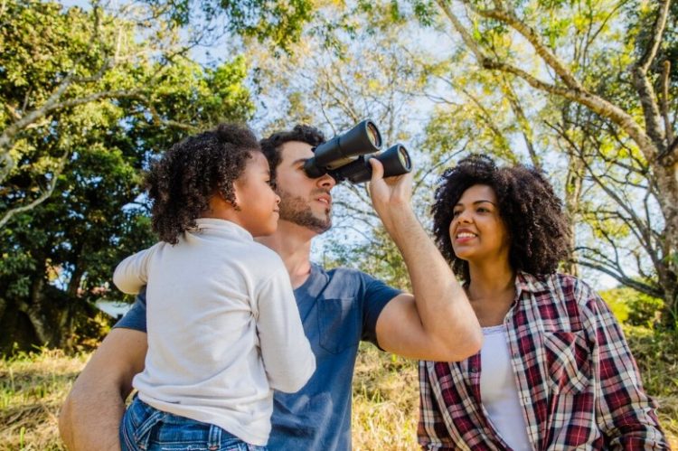 The Ultimate Guide to Finding the Beste Verrekijker for Nature Enthusiasts