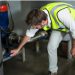 Understanding the Importance of Dryer Vent Cleaning in Tennessee: A Closer Look at Murfreesboro and Brentwood