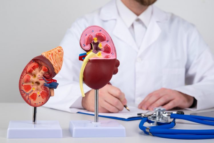 Living Well with Chronic Kidney Disease: A Guide to Managing Your Health