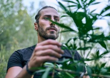 Elevate Your Experience: Puro Cannagar’s Superior Delta-8 PreRolls for Wholesale