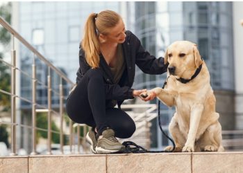 Navigating the Legal Landscape: Key Steps After a Dog Bite Incident
