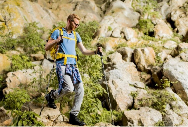 Exploring Dumpoir.com Your Ultimate Tool