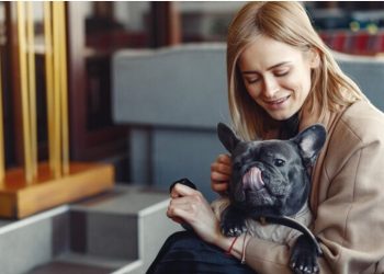 The Ultimate Guide to French Bulldogs: A Comprehensive Insight into the Adorable FrenchieIntroduction to French Bulldogs: More Than Just a Pretty Face