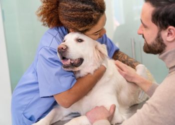 Pet Insurance Safeguards Your Pet’s Breed-Specific Health Needs