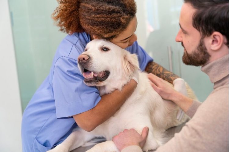Pet Insurance Safeguards Your Pet’s Breed-Specific Health Needs