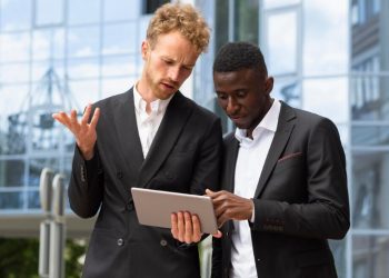 Unlocking Value and Efficiency: The Essential Guide to Wholesale Windows