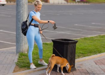 Tasmanian Mobile Skip Bin Hire