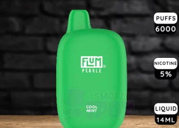 Unveiling the Flum Pebble Disposable Vape 6000 Puffs: A Flavorful Revolution in Vaping