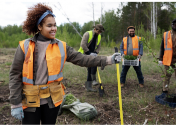 10 Methods for Dealing with a Tree Removal Emergency