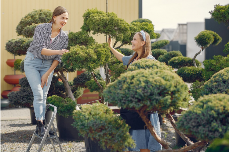 Enhancing Your Space: Professional Landscaping’s Value