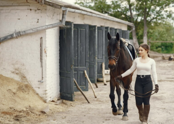 Best Hoof Conditioner for horses