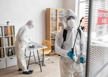 Effective Strategies for Termite Control in the Philippines