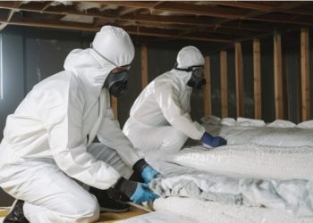 Bed Bug Powder: A Revolutionary Solution by Bed Bug Barrier in Australia