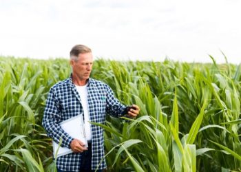 David G. Wallace: A Visionary Leader Who Transformed Sugar Land