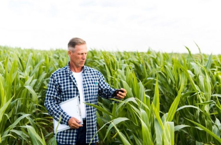 David G. Wallace: A Visionary Leader Who Transformed Sugar Land