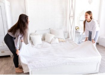 Getting Rid of Bed Bugs Naturally