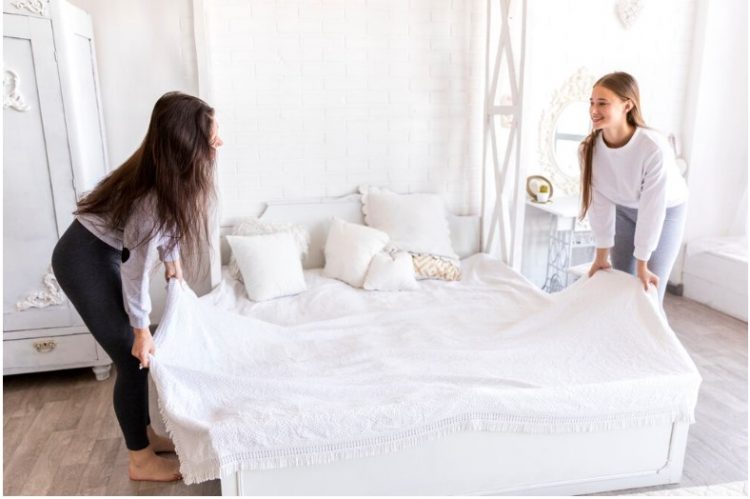 Getting Rid of Bed Bugs Naturally 