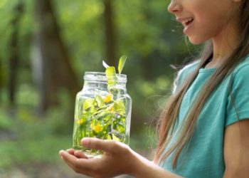 The Role of Nature in Spiritual Growth