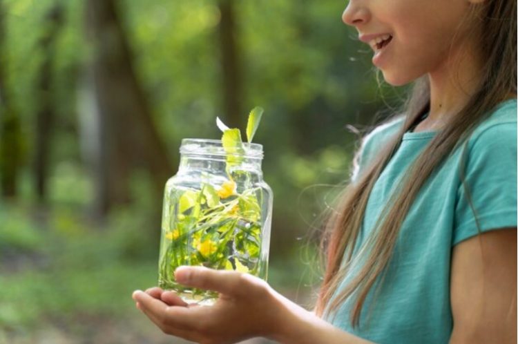 The Role of Nature in Spiritual Growth