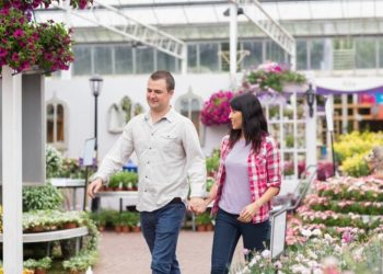 The Rose Company Dubai: The Debut of the First Toy Flower in Dubai 