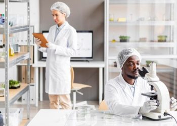Ensuring Product Safety: The Importance of Lead Testing in Consumer ProductsMeta Description: