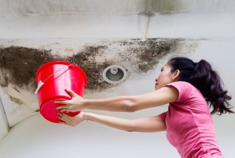 Eavestrough Essentials: Protecting Your Home from Water Damage