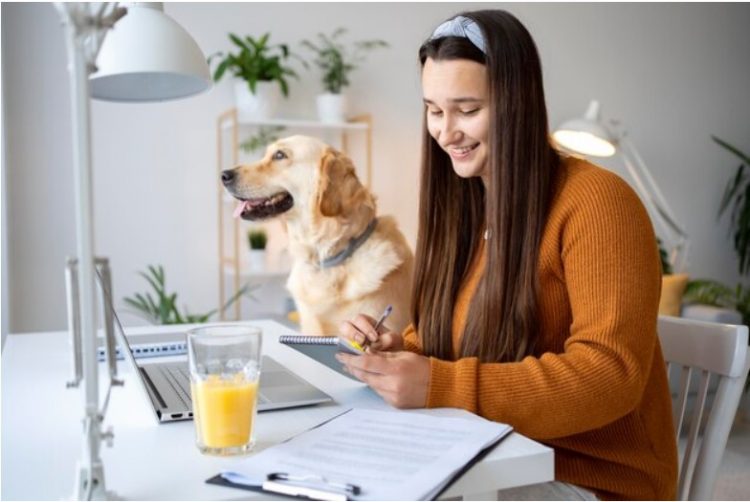 Top 5 WordPress Themes for Pet Classifieds