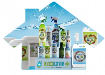 The Role of Food and the Impact of Disinfectant Products